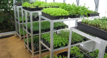 Jak si vyrobit vlastní stojan na sazenice?